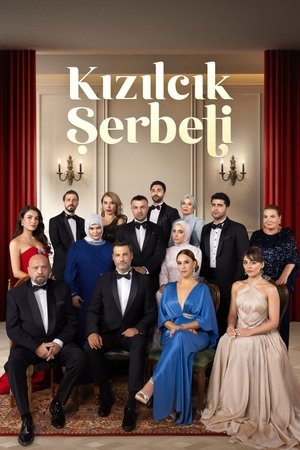 Kizilcik Şerbeti Season 4
